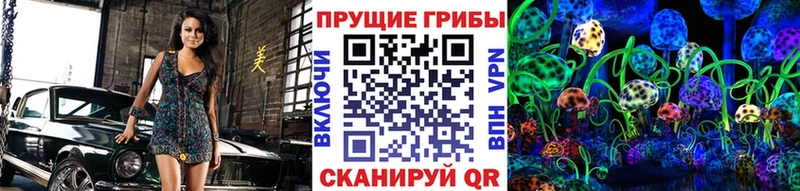 Галлюциногенные грибы Cubensis  mega ссылка  Магнитогорск  купить закладку 